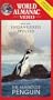 Save the Endangered Species-The Humboldt Penguin [VHS]