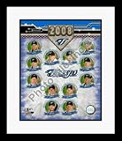 2008 Toronto Blue Jays Framed 8 x 10 Team Collage Photograph
