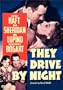 They Drive by Night [Import]