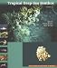 Book Tropical Deep-Sea Benthos