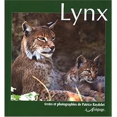 Lynx