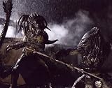 ブロマイド写真★『AVP2 エイリアンズ VS. プレデター』プレデリアンとザ・クリーナー1