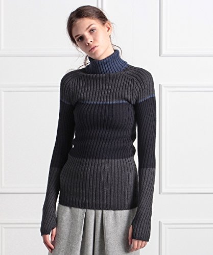 (アクアガール) aquagirl iliann loeb ブロックタートルリブニット 02819905