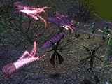 Eigenschaften Microsoft  / Dungeon Siege 2