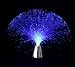 FIBER OPTIC VISUAL STIMULANT FOR SENSORY INTEGRATION