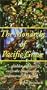 The Monarch Butterfly of Pacific Grove [VHS]