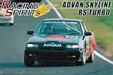 1/24 �졼���󥰥��ԥ�å� No.05 DR30 ADVAN �������饤��RS ������