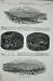 1848 Burra Copper-Mine Australia Kooringa Mining Art