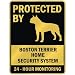 boston_terrier39boston terrier - PROTECTED BY BOSTON TERRIER HOME SECURITY SYSTEM PARKING