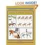 Solving Flatwork Problems (Threshold Picture Guide)