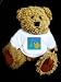 Teddy Bear with photography image t-shirt