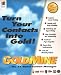 GoldMine 95