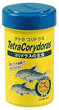 テトラ　コリドラス４８ｇ \ 465