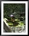 Ahilya Fort Now a Heritage Hotel on the Banks of the Narmada River, Madhya Pradesh State, India Scenic Framed Art Poster Print by R H Productions, 39x49