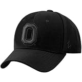 Zephyr Ohio State Buckeyes Black DH Basic Logo Fitted Hat