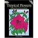 Tropical Flowers Stained Glass Coloring Book (Dover Nature Stained Glass Coloring Book)