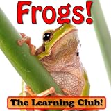 Fun Frogs! Learn About Frogs And Learn To Read - The Learning Club! (45+ Photos of Frogs)