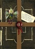 Arthur Spiderwick's Field Guide to the Fantastical World Around You [ARTHUR SPIDERWICKS FGT THE -OS]