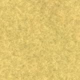 Antique Parchment (Parchtone) 25 x 38 inches