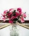 April Birth Month Flower - Pink Sweet Pea