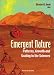 Book Emergent Nature: Patterns, Growth and Scaling in the Sciences