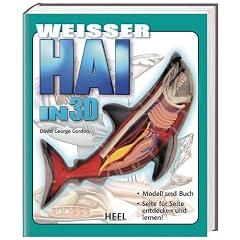 Wei�er Hai in 3D. Modell und Buch Seite f�r Seite entdecken und lernen