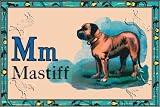 Art Poster, Mastiff - 27.5 x 18.75