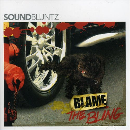 The Sound Bluntz - Blame The Bling - Zortam Music