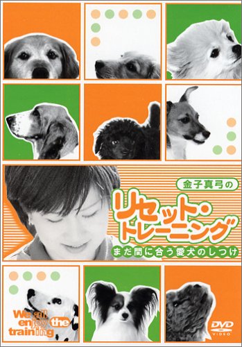 金子真弓のリセット・トレーニング まだ間に合う愛犬のしつけ [DVD]