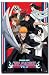 BLEACH Anime/Manga Poster Print - Ichigo, Rukia & Gang (22