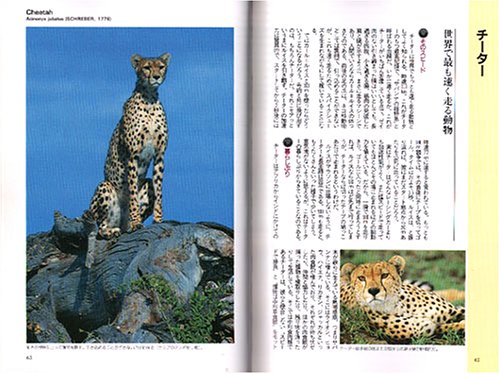 Cover image : 野生ネコの百科 最新版 (動物百科)
