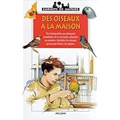 Des oiseaux � la maison