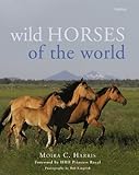 Wild horse of the world