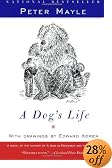 A Dog's Life
