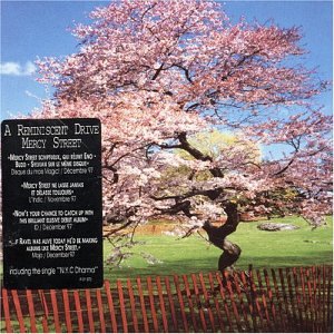 a reminiscent drive - Mercy Street - Zortam Music