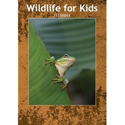 Wildlife for Kids