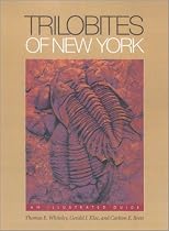 Trilobites of New York: An Illustrated Guide