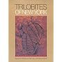 Trilobites of New York: An Illustrated Guide (Comstock books)
