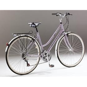 Falcon meridian women's bike framesize 16