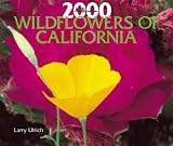 Wildflowers of California 2000 Calendar (Millenium 2000 Wall Calendars)