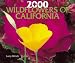 Wildflowers of California 2000 Calendar (Millenium 2000 Wall Calendars)