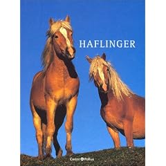 Haflinger