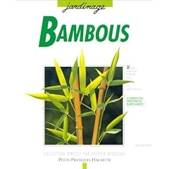 Bambous