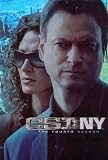 CSI: New York - Season 4