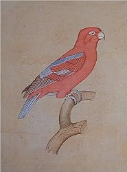 Paper Paintings Miniature Art Drawings with Water Color 7.25 x 9.5 inches (mbird005)