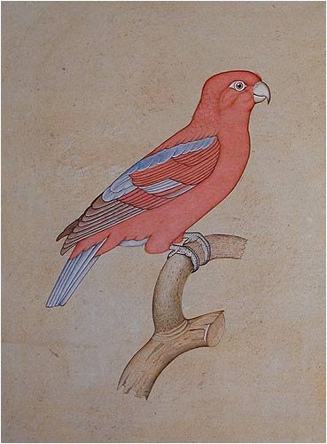 ShalinCraft Paper Paintings Miniature Art Drawings with Water Color 7.25 x 9.5 (mbird005)