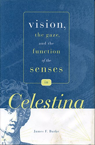 Vision, the Gaze, and the Function of the Senses in 