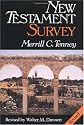 New Testament Survey