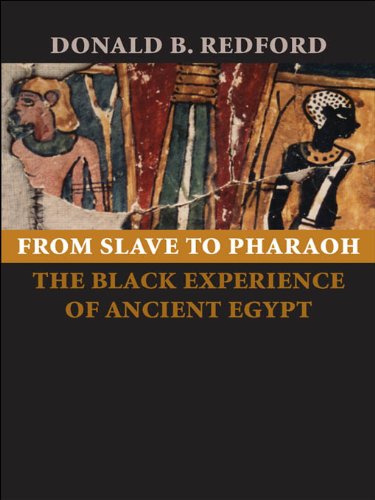 From Slave to Pharaoh: The Black Experience of Ancient Egypt