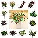 Generic Artificial 7-branch Bunch Succulent Floral Foliage Fake Plant Home Decor
